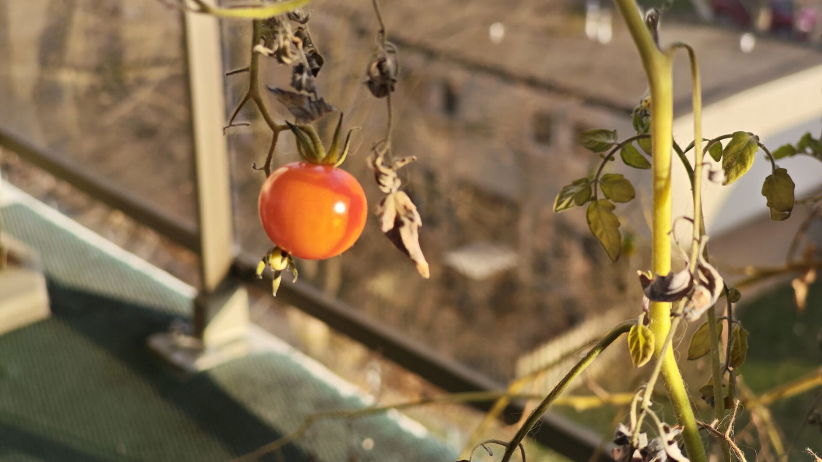 Poco F8 Pro Smartphone Review