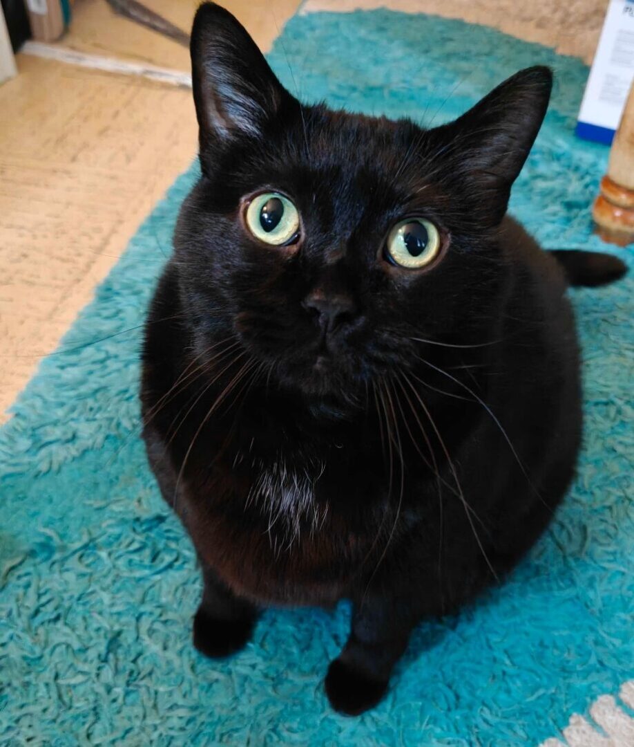 Realme Gt 8 Pro Smartphone Review Realme Gt 8 Pro Smartphone Review