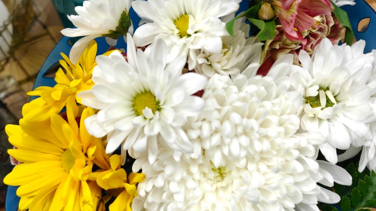 Realme Gt 8 Pro Smartphone Review Realme Gt 8 Pro Smartphone Review