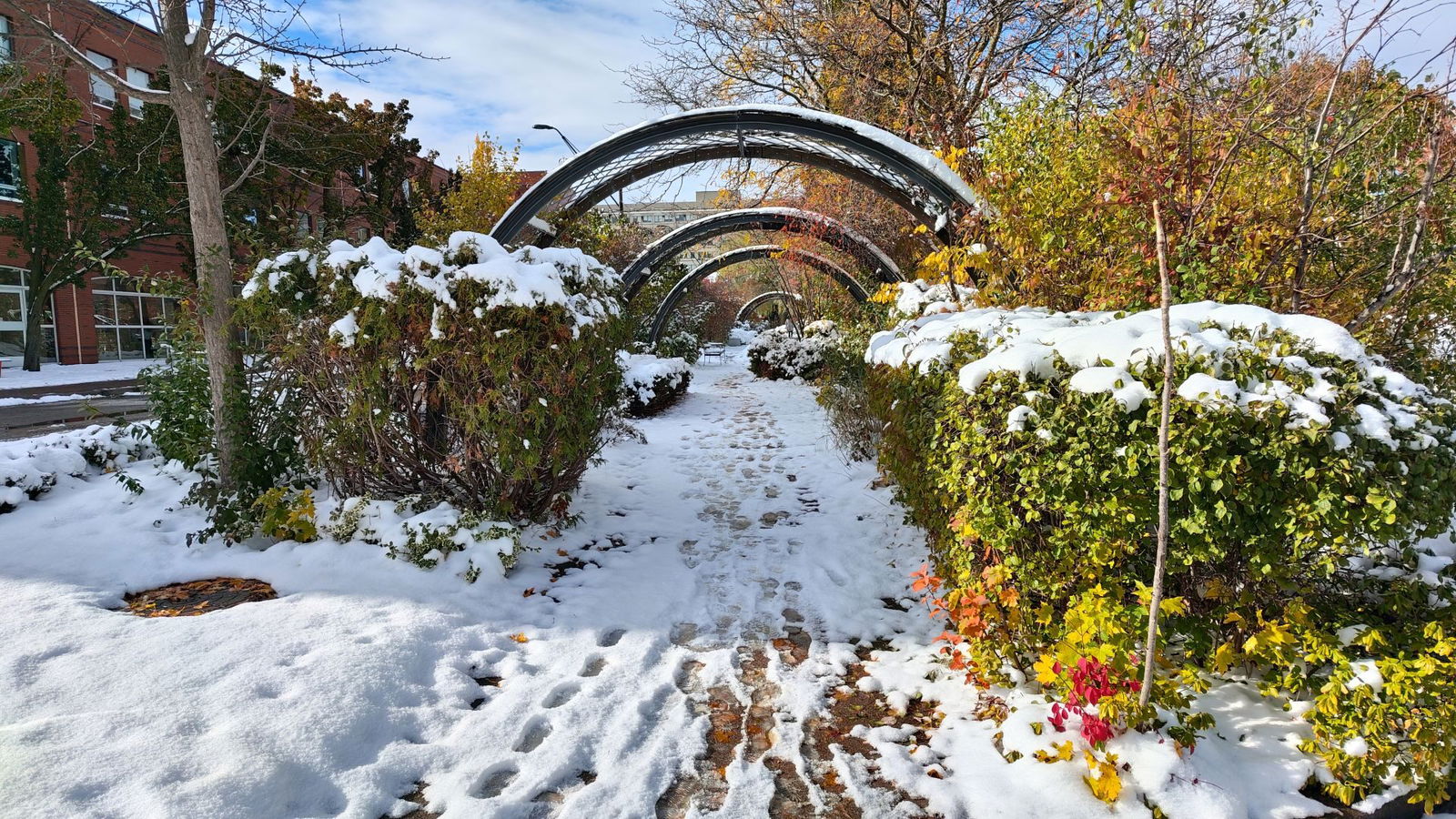 Redmagic 11 Pro Gaming Smartphone Review Redmagic 11 Pro Gaming Smartphone Review