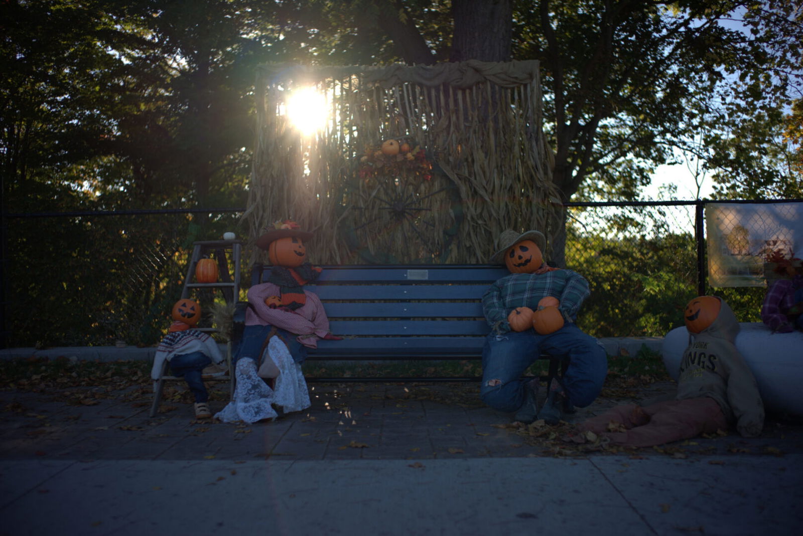 Thypoch Simera-C 35Mm T1.5 Lens Review