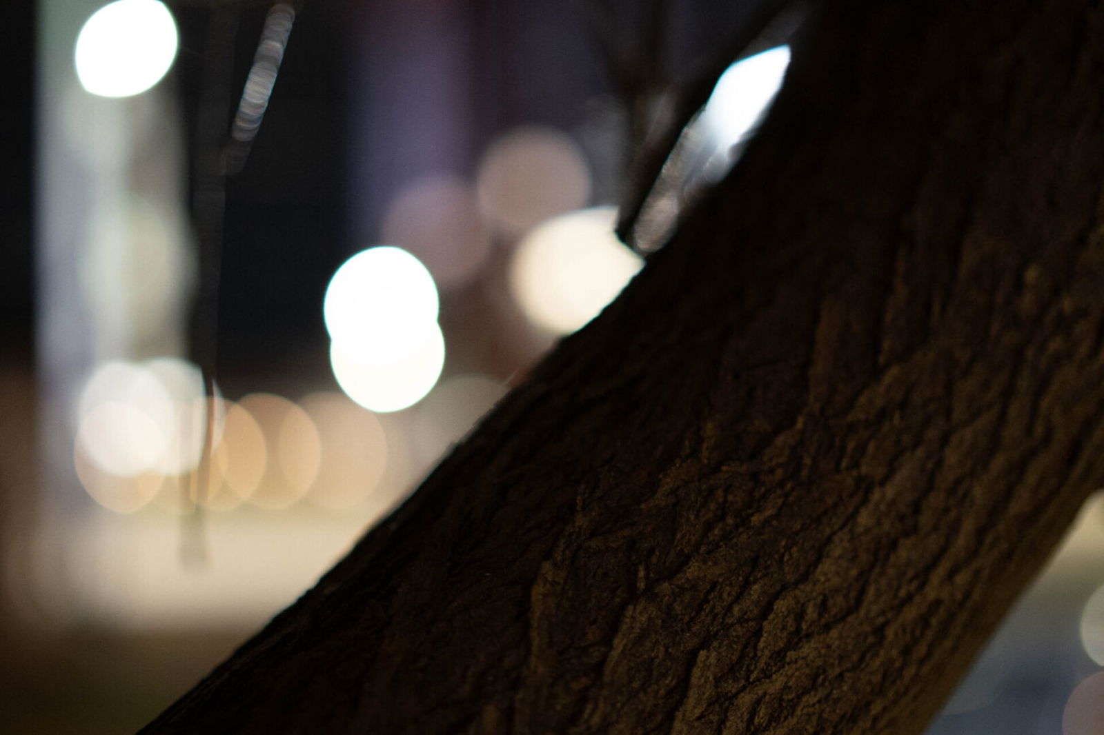 Brightin Star 35Mm F0.95 Aps-C Lens Review