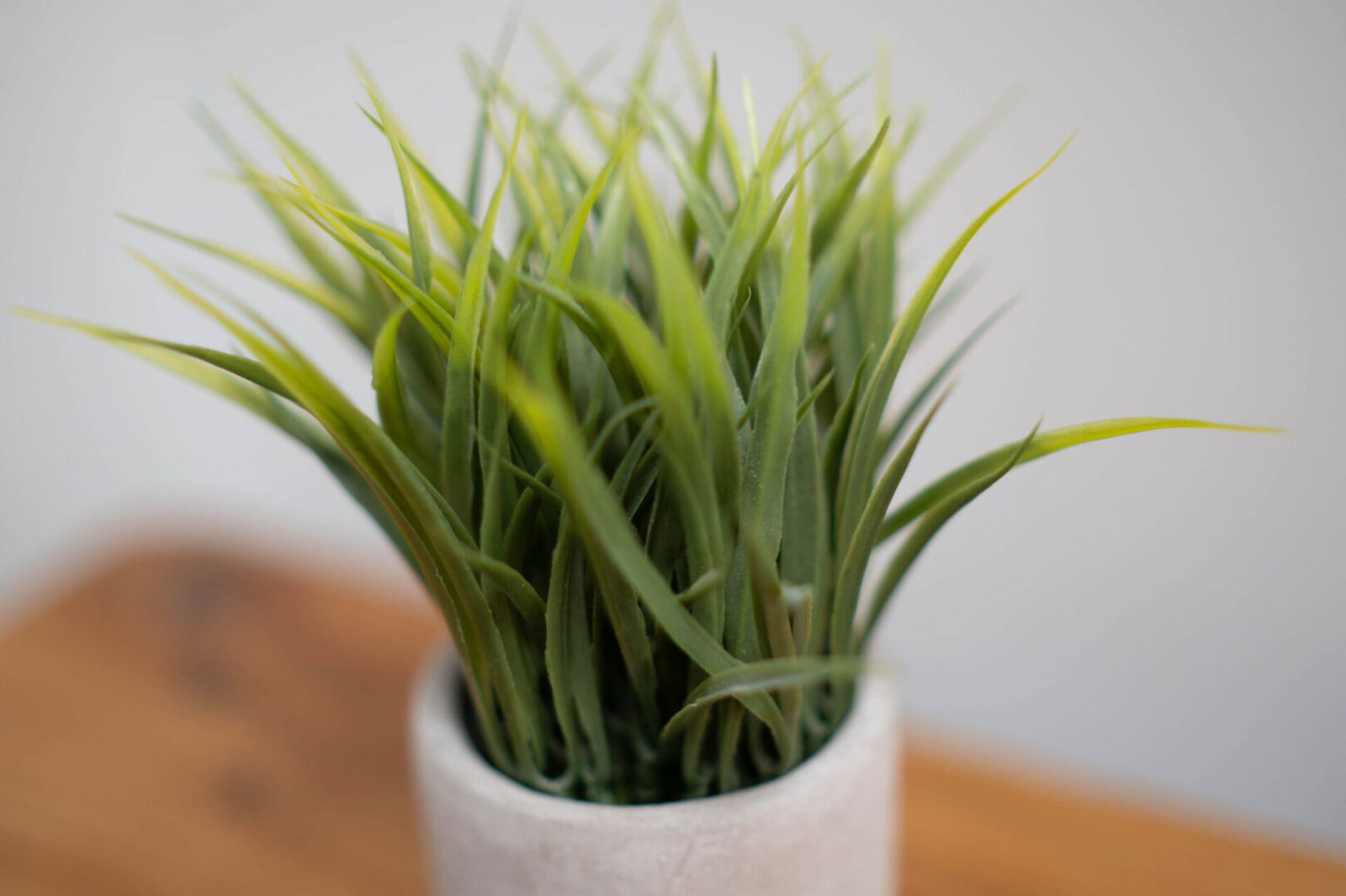 Brightin Star 35Mm F0.95 Aps-C Lens Review