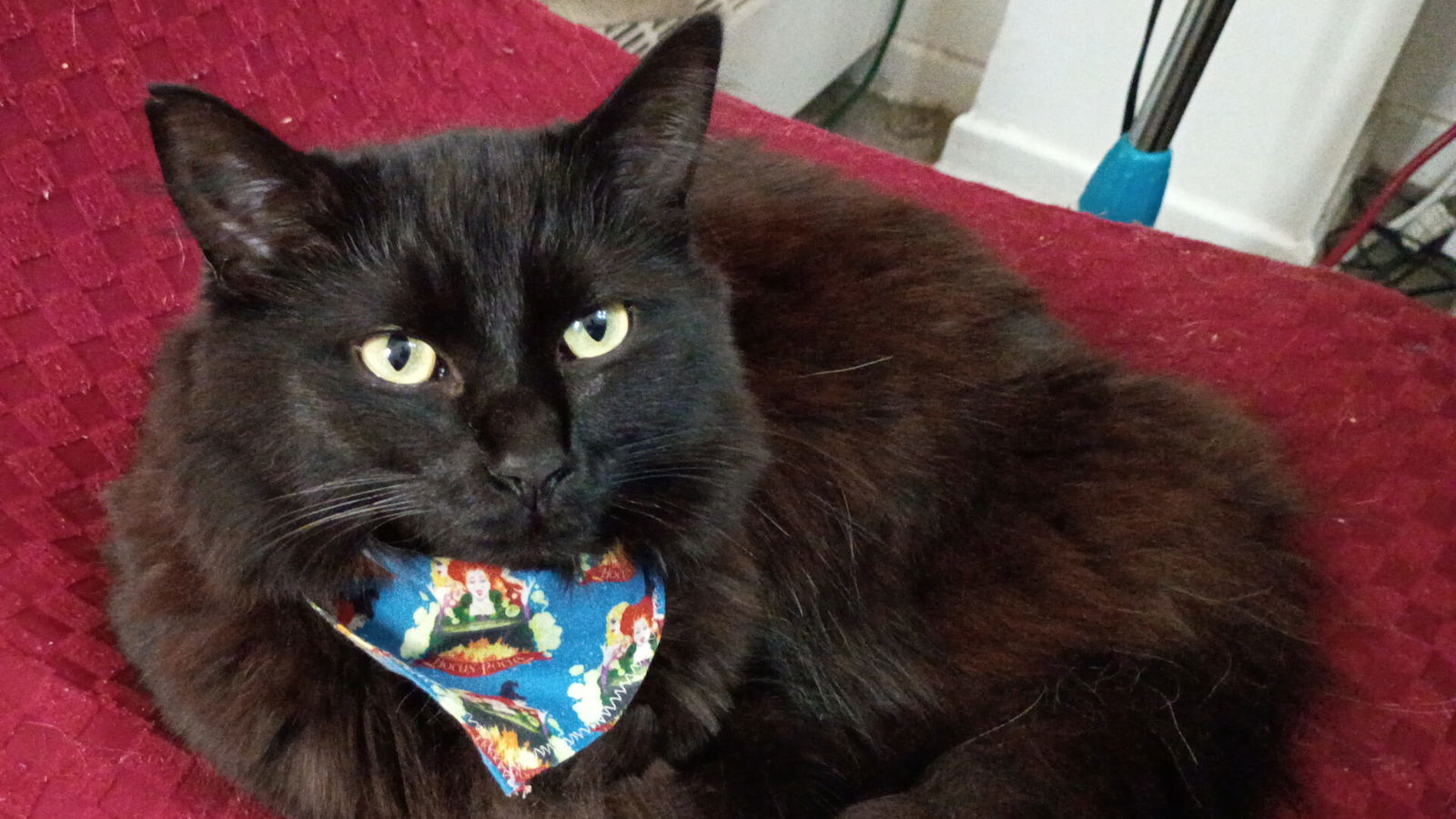 Motorola Moto G - 2026 Smartphone Review Motorola Moto G - 2026 Smartphone Review