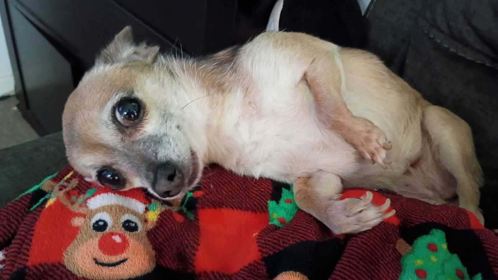 Motorola Moto G - 2026 Smartphone Review Motorola Moto G - 2026 Smartphone Review