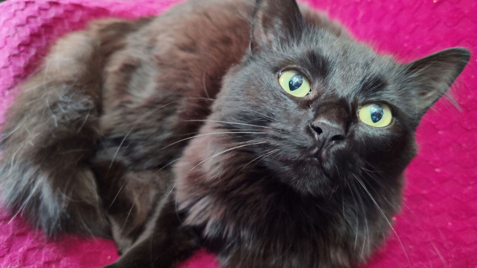 Redmi Note 15 Smartphone Review